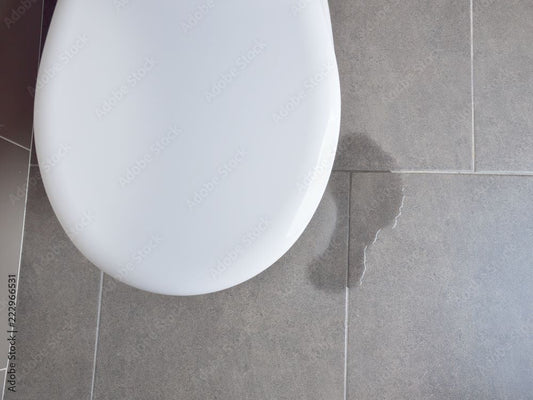 How to Check if Your Toilet is Leaking: Part 2 Can My Wax Ring Leak Even If I Don’t See Water Leaking?